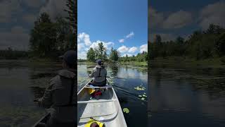 Fieldwork Friday | Vendredi sur le terrain