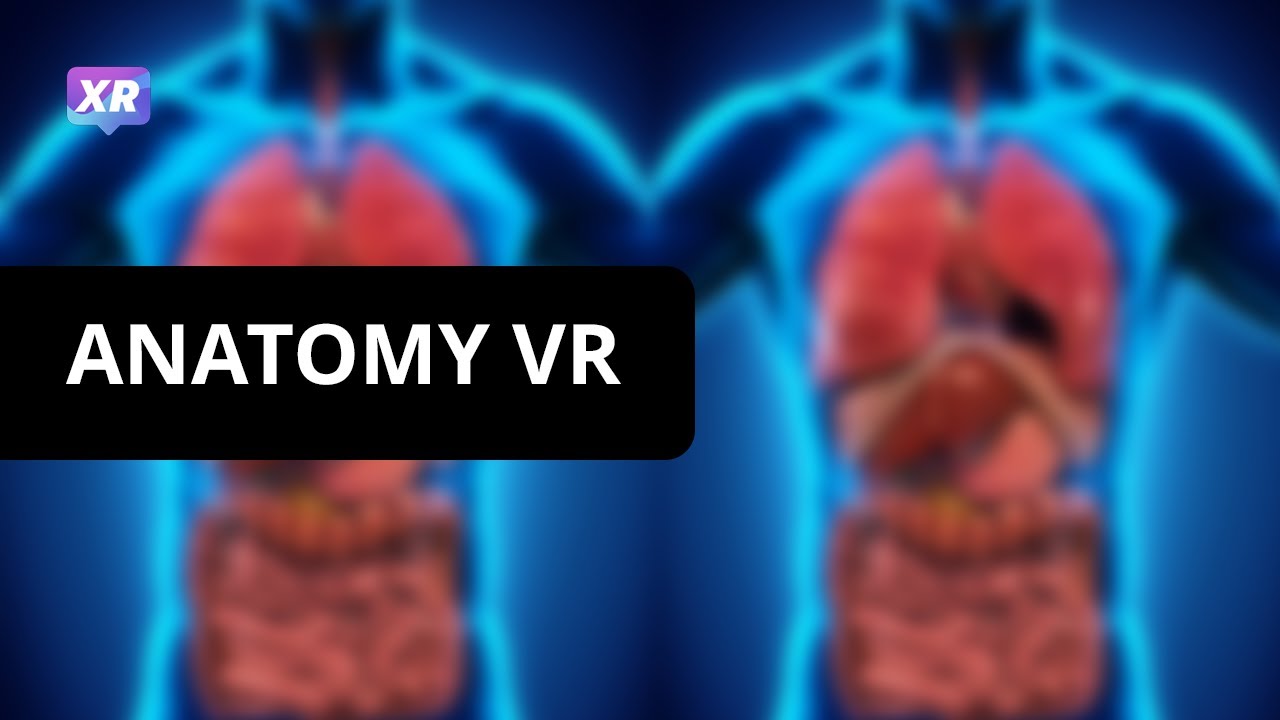 Sheffield University anatomy VR app