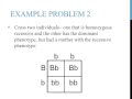 Punnett Square Practice Problems Explained