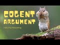 Exploring Cogent vs Sound Arguments in Inductive Reasoning