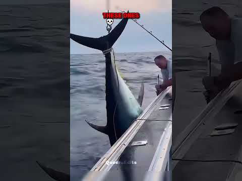 Others Fishing Vs. These Ones 💀