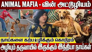 நாயை கூட விட்டுவைக்காத ஜென்மங்கள் |  Blasted interview with Sudha Chandrasekar