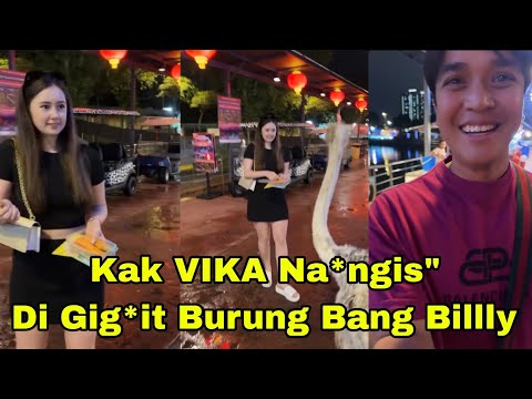 KAK VIKA NA*NGIS" DI GI*GIT BURUNG NYA BANG BILLY