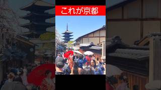 これが京都。桜の五重塔に観光客大喜び