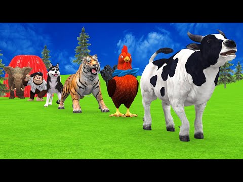 Funny Cage Game Challenge and Crossing Paint Fountain for Wild Animals 3d: Cow Elephant T-Rex Lion