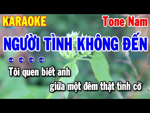 Karaoke Người Tình Không Đến Tone Nam | Nhạc Sống Hay Nhất 2024 | Karaoke Thanh Hải