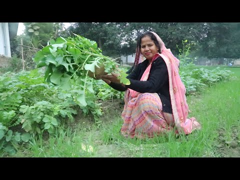 इस तरीके से बनाएँगे मेदू वडा तो बहार से कुरकुरा और अन्दर सॉफ्ट रहेगा | Medu Vada.