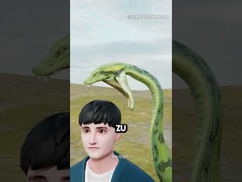 Wie überlebt man, wenn man von einer Anakonda verschluckt wird? - (Credits:@curiousgurubrar)