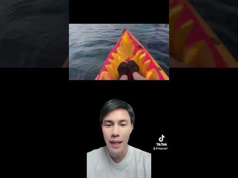บังเอิญเจอฉลามขณะที่พายเรืออยู่ 🦈 #shorts
