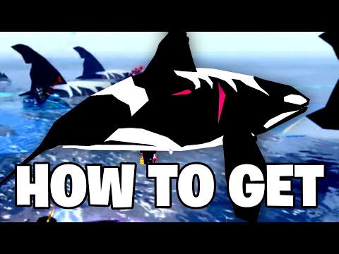 Roblox Fisch - HOW TO GET & CATCH ORCA WHALES (Full Guide - Location)