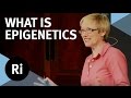 Epigenetics and Genetic Expression Concepts