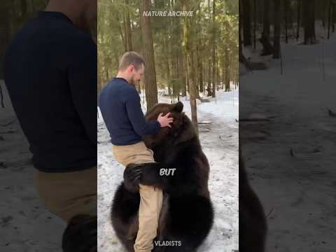 How to survive a bear attack ?
