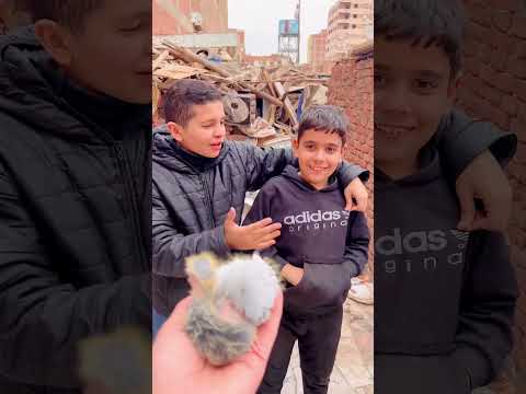 اللي هيجاوب صح هياخد الحمام دا 😱