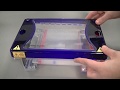 Agarose Gel Electrophoresis: Techniques for DNA Fragment Separation