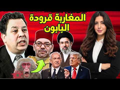 شركات محمد السادس تسرق الذهب بالعلالي+ مسؤول اسرائيلي يسب المغاربة +مضيق هرمز +هزيمة ترمب امام إيران