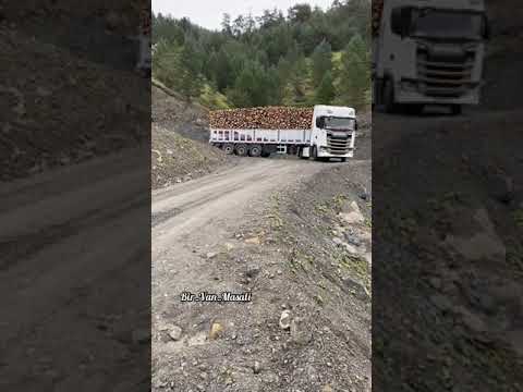 Scania S500 Tomruk İşlerinde