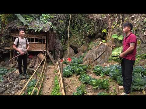 The previous owner of the house where Tran Cong is living has arrived. What will happen next?