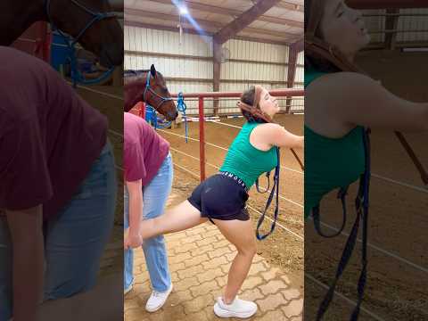 Old Vs Young Horses! 🐴 #shorts #animals
