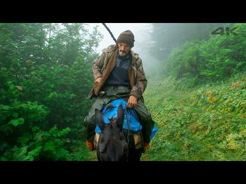 Issız Ormandaki Çiftlik - Nuri'nin Hayvanlarıyla Hayatı | Belgesel Film
