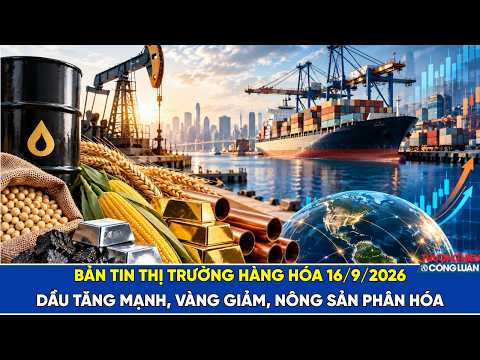 Bản tin thị trường hàng hóa 16/9/2026: Dầu tăng mạnh, vàng giảm, nông sản phân hóa