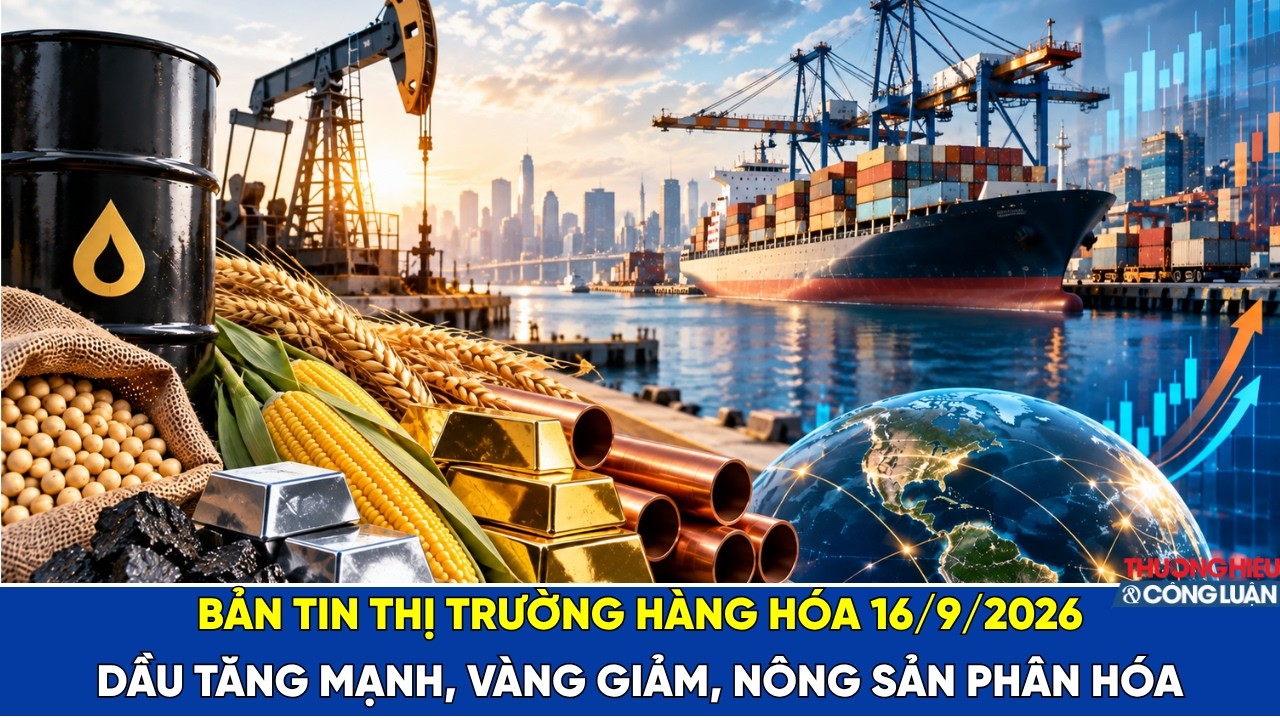 Bản tin thị trường hàng hóa 16/9/2026: Dầu tăng mạnh, vàng giảm, nông sản phân hóa