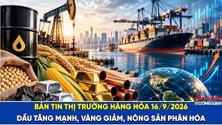  Bản tin thị trường hàng hóa 16/9/2026: Dầu tăng mạnh, vàng giảm, nông sản phân hóa