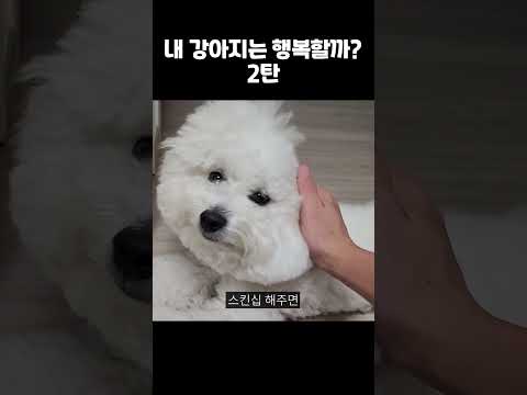 내 강아지가 행복하다는 5가지 증거 (2탄)  #shorts