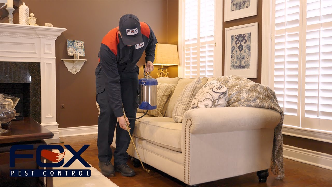 Why you should choose Fox Pest Control in Lexington