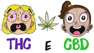 THC e CBD: COSA SONO?