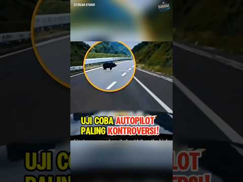 china rela tutup jalan tol demi ini‼️#autopilot #ai #trending