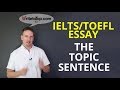 Effective Topic Sentences in Essays