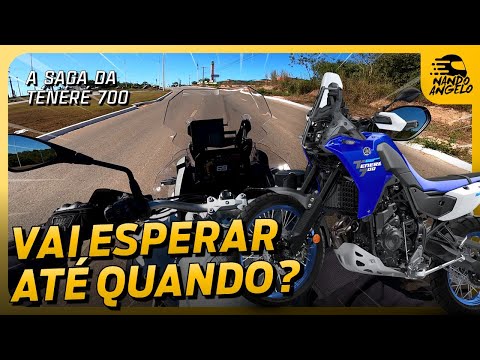 Compensa esperar tanto? 🤔 CADÊ A TÉNÉRÉ 700 DONA YAMAHA??? 😴 #nandoangelo #motovlog