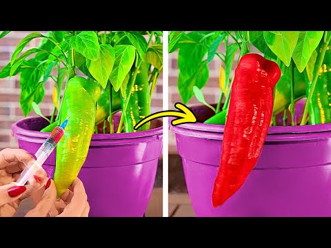 Surprising Gardening Hacks To Make Your Home Plants Green and Blossom