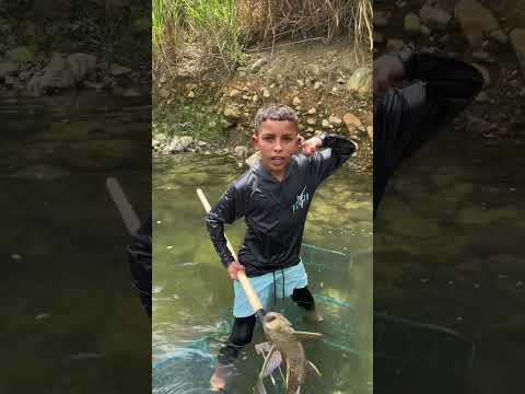 El mini CJ cazador de Plecos🔥😂 #plecostomus #pesca #puertorico #fishing