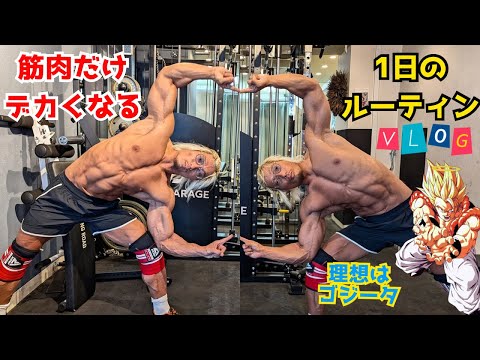 脂肪を付けず筋肉だけデカくする1日のルーティン！【理想はゴジータ】#vlog #筋トレ #プロテイン ダイエット