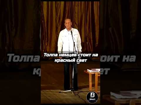 Немцы 🇩🇪 переходят дорогу #МихаилЗадорнов #юмор