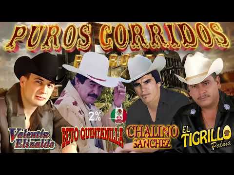 Puros Corridos Mix Exitos de Beto Quintanilla, Chalino Sanchez, Valentin Elizalde y Tigrillo Palma