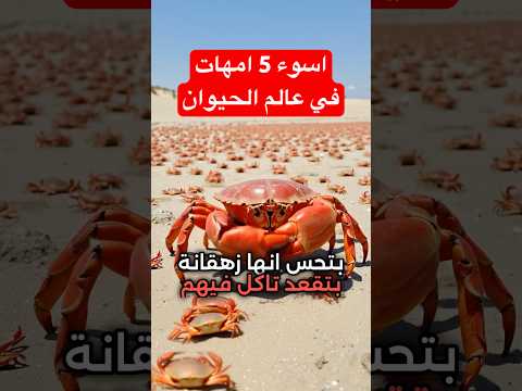 اسوء 5 امهات في عالم الحيوان