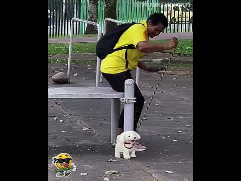 The change of dog ( Part 2 )🦮 😂 #shortvideo