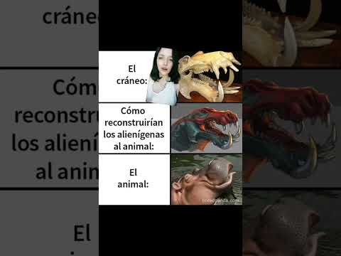 ¿Cómo podemos saber como eran los animales prehistóricos? | Anatomía comparada.