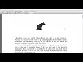 Exploring Chapter 6 of Of Mice and Men