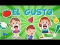 El sentido del gusto y sus funciones