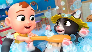 Hey Diddle Diddle | Cat Bath Adventure | Newborn Baby Songs & Nursery Rhymes
