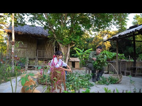 Returning to visit my sister Son Thon and help renovate her house, build a bamboo platform