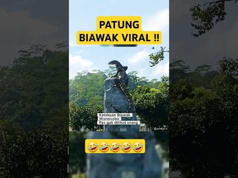 patung biawak wonosobo viral #lucu #funny