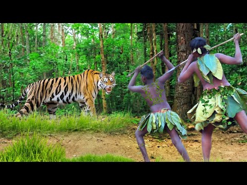 royal bengal tiger attack | tiger attack man in the forest, tiger attack in jungle