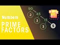 Prime Factorization Concepts and Applications