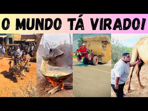 DOIDEIRAS pelo MUNDO: as maiores loucuras que você já viu!