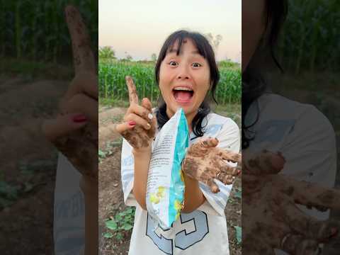 Survival Skills: Snacks !!! SIMPLE and USEFUL #bushcraft #camping #outdoor
