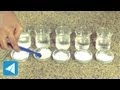 Solubility and Dissolution Concepts